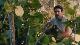 NCIS Hawaii - Season 01 Episode 15